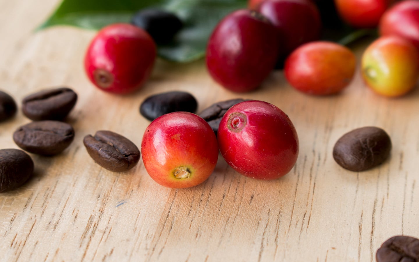 Voorbeeld van koffiebessen die zorgen dat koffie gezond is