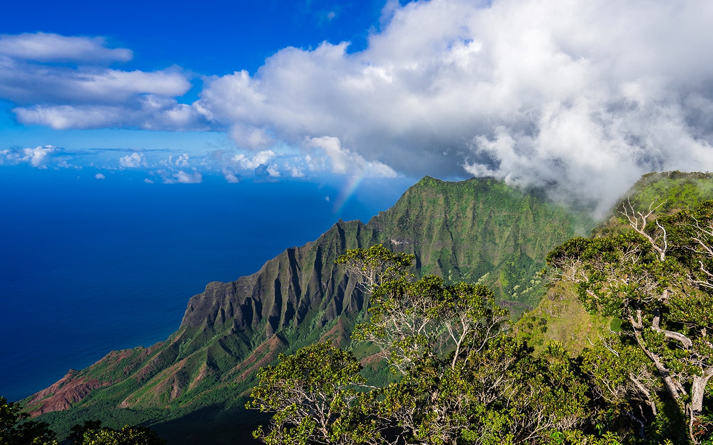 Kona Extra Fancy vulkanische helling voor koffieplantage