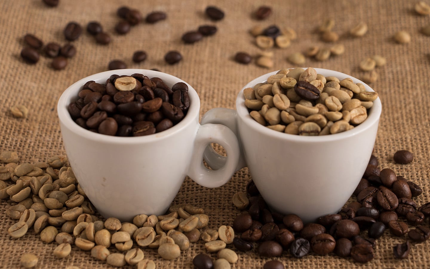 Twee verschillende soorten koffiebonen