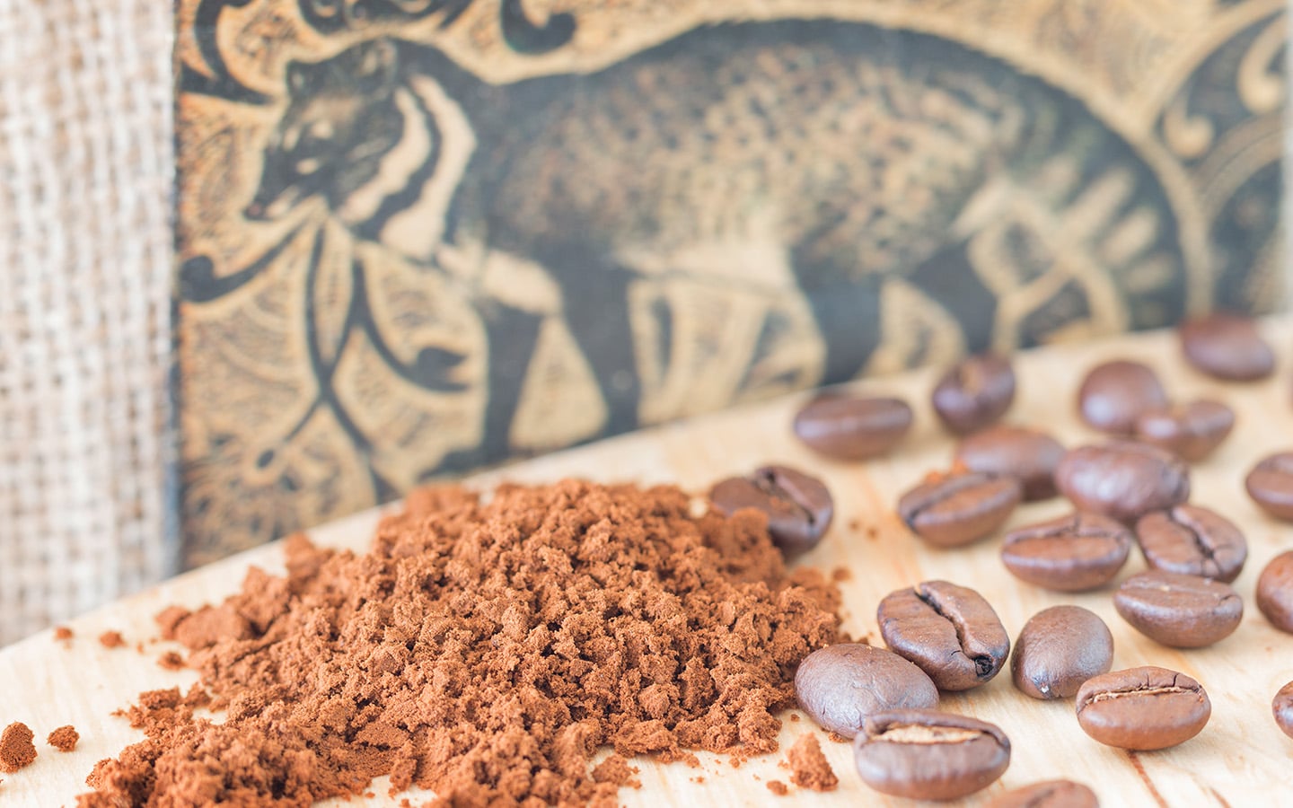 Voorbeeld van Luwak koffie en civetkat