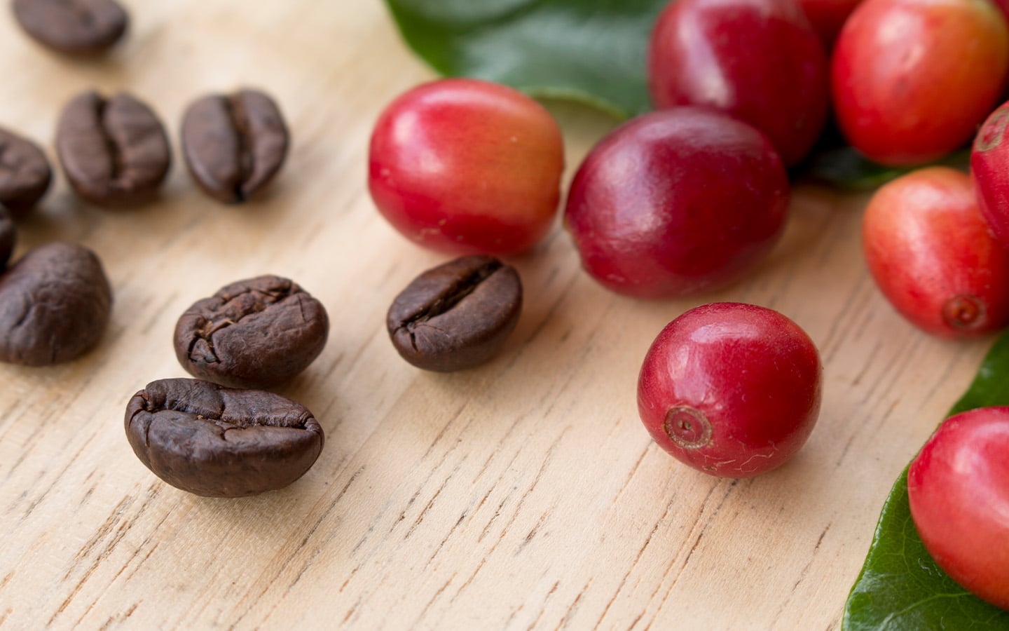 Koffiebonen met koffiebessen